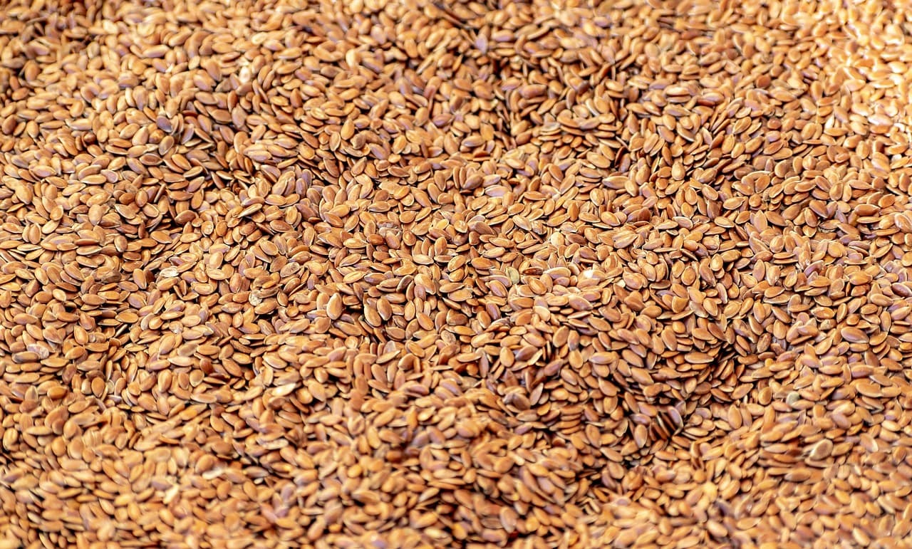 Close-up of brown flax (linseed) seeds