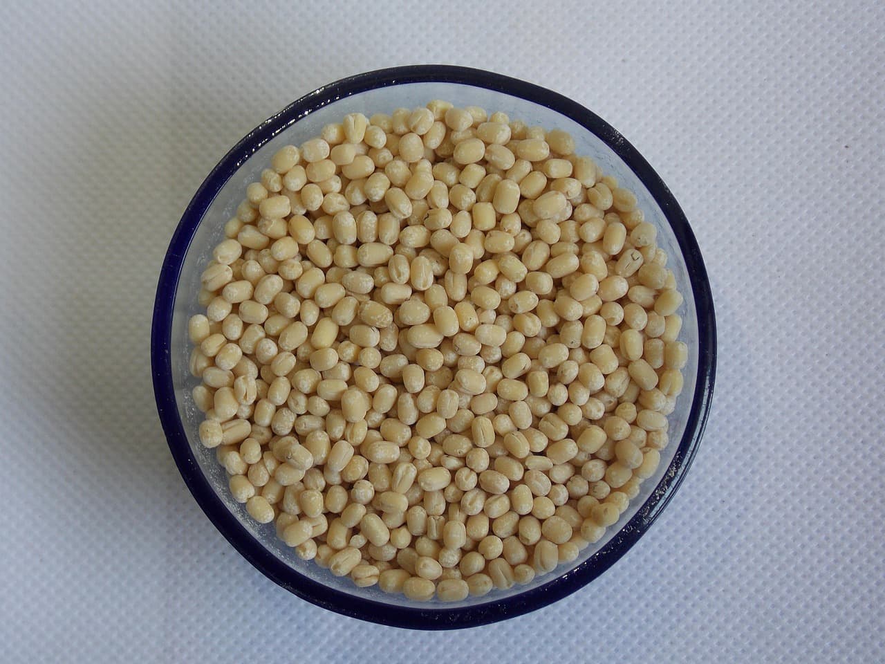 Urad Dal - split white urad lentils (black gram, dehusked)