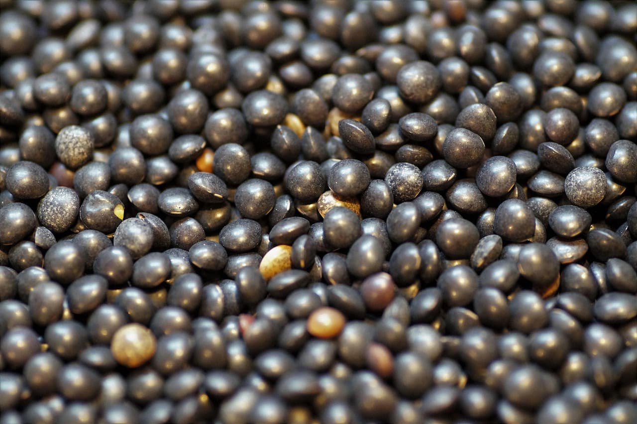 Whole Black Gram - small whole black lentils in a pile
