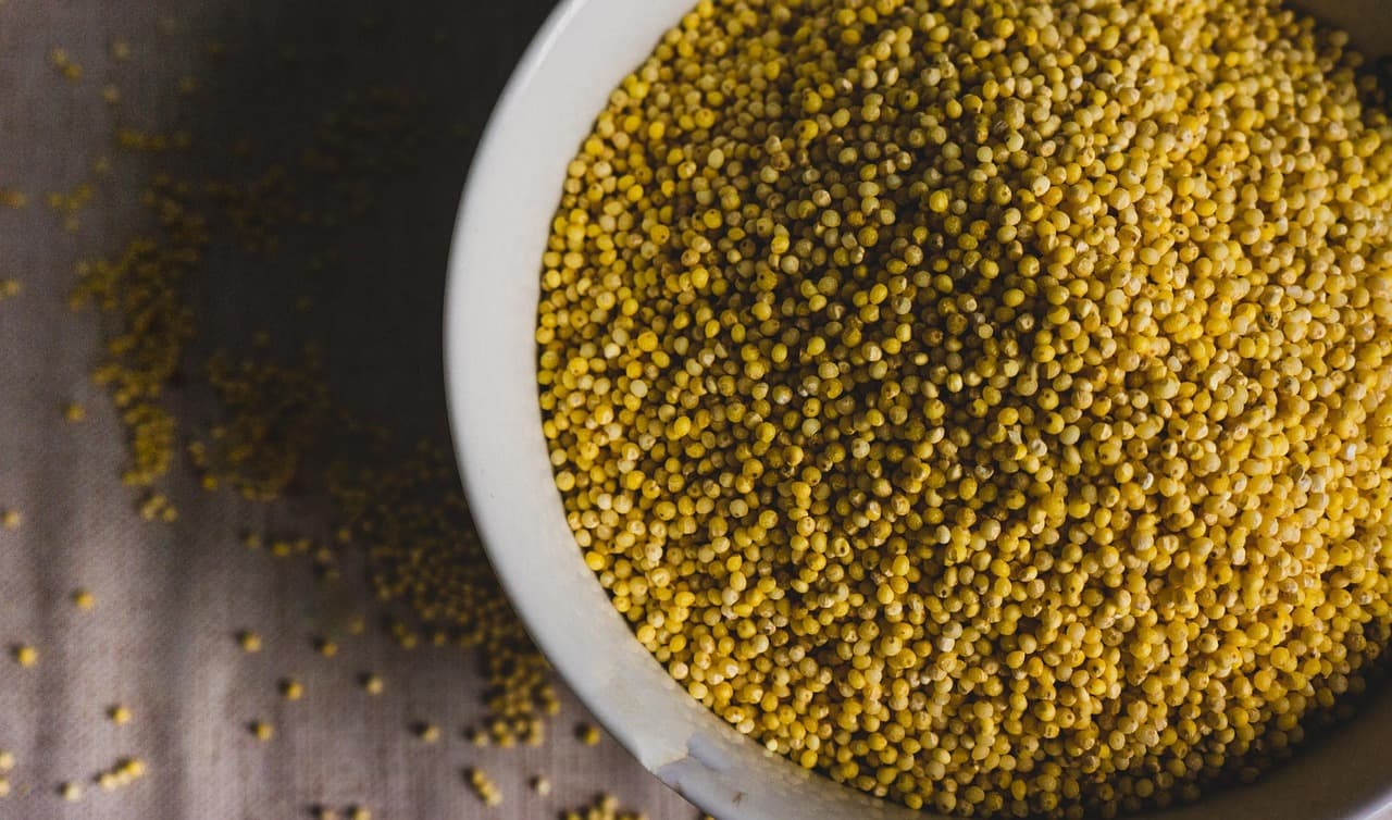 Kodo millet grains in a bowl with scattered seeds on a rustic surface