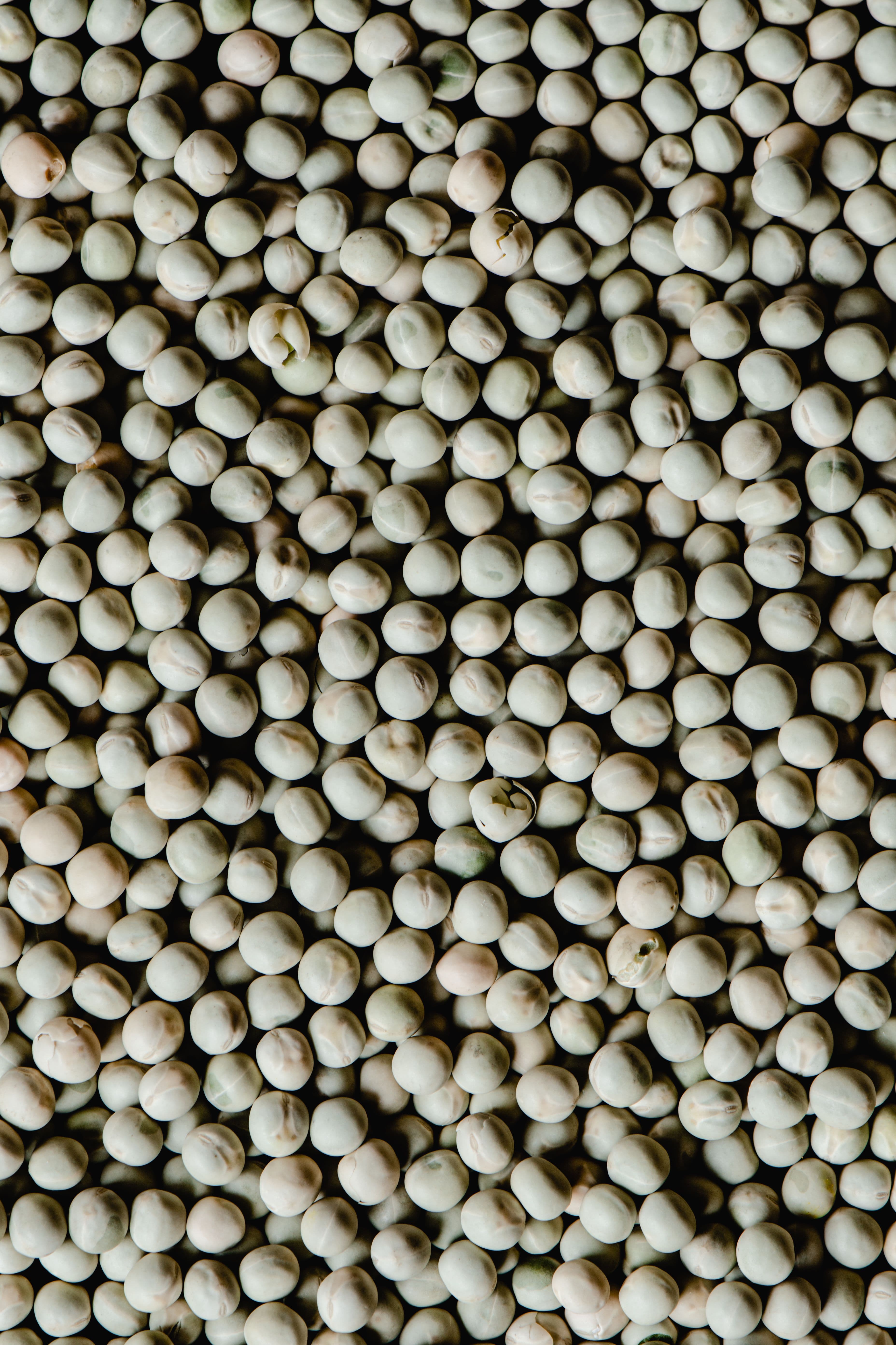 White Peas - whole dried white round peas, close-up