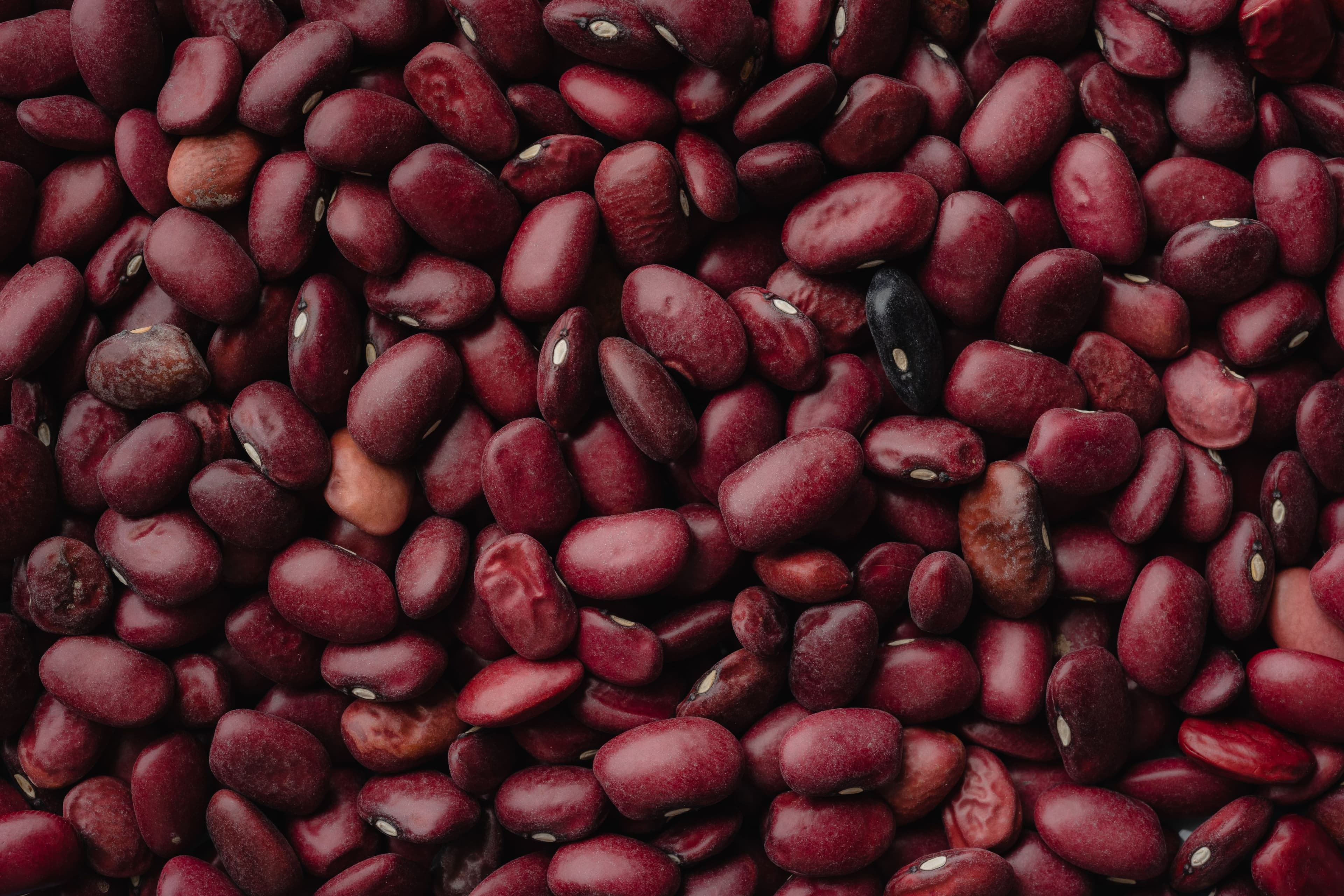 Rajma - dried red kidney beans, close-up